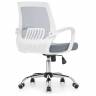 Ergoplus light gray / white Ergoplus light gray / white