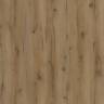 Столешница прямоугольная Werzalit Woodart каньонский дворцовый дуб 800х1200х20.5 мм Столешница прямоугольная Werzalit Woodart каньонский дворцовый дуб 800х1200х20.5 мм