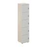 SG.818.OL.SH / Локер 5 ячеек 400х400х1866 / корпус: дуб светлый; фасады: серый бархат