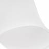 Tulip white Tulip white
