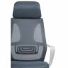 Golem dark gray / white
