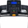 Беговая дорожка Titanium Masters Physiotech TLF